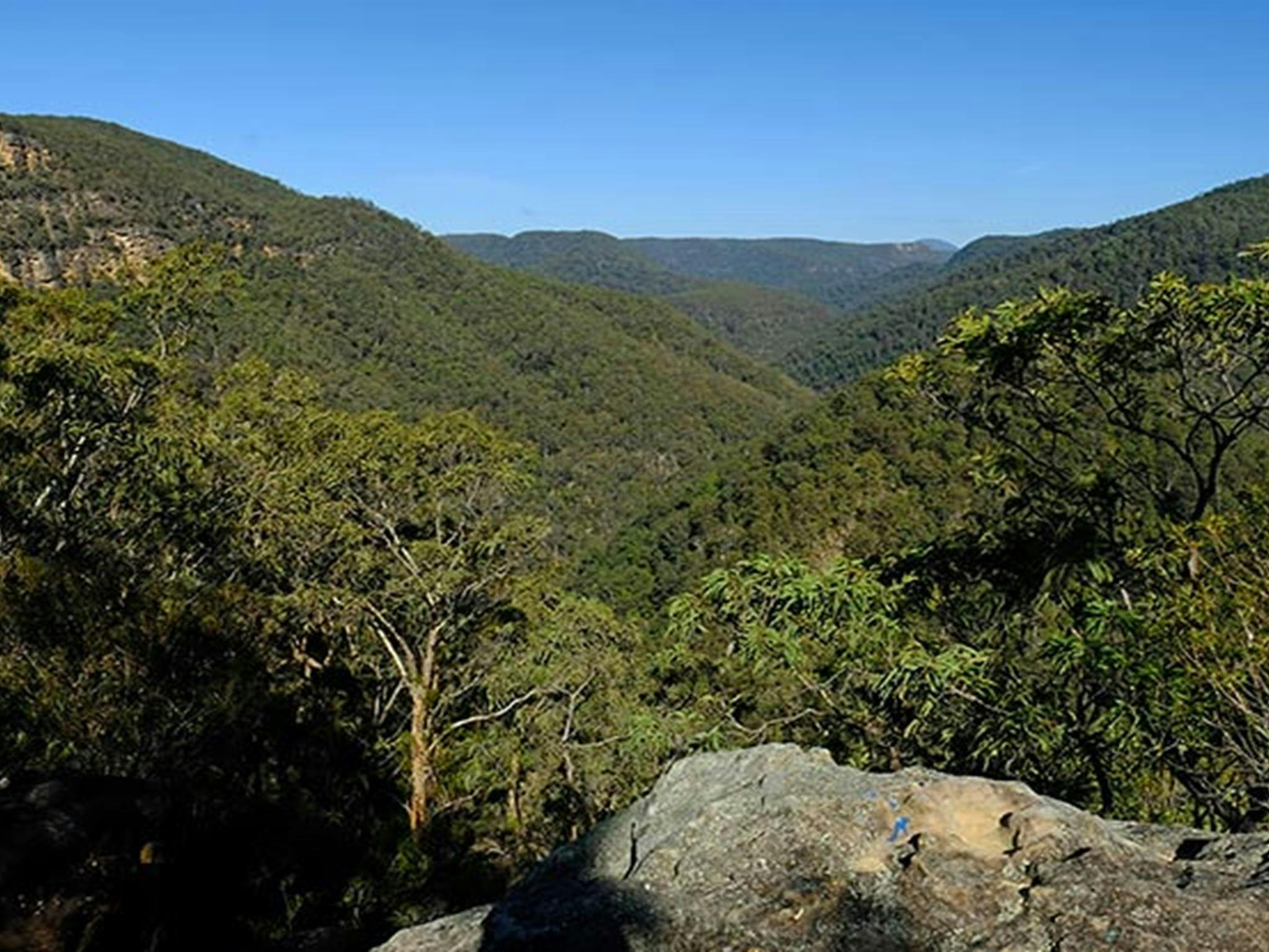 Vale of Avoca lookout