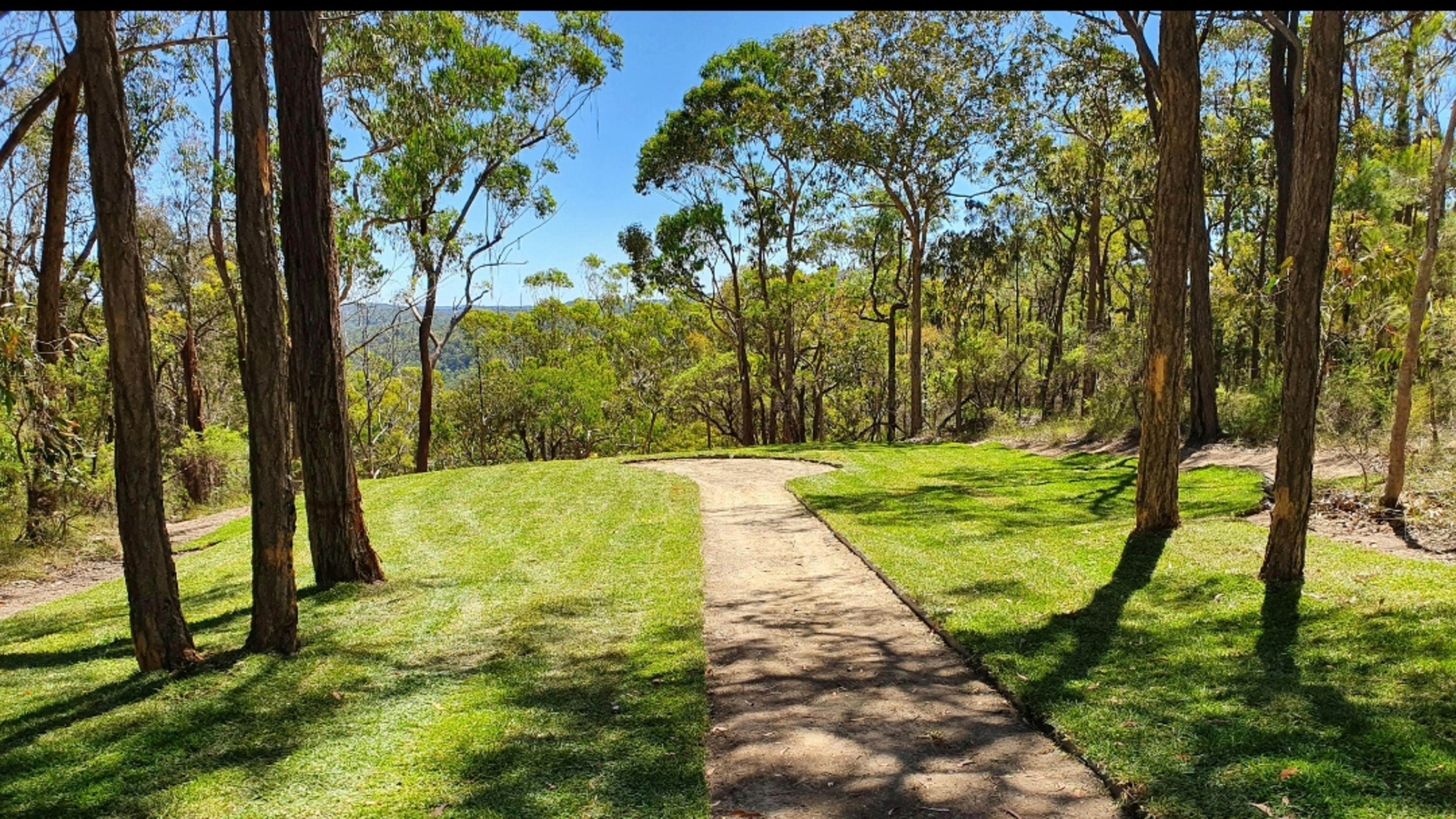 Set your tent or swag up on the grass