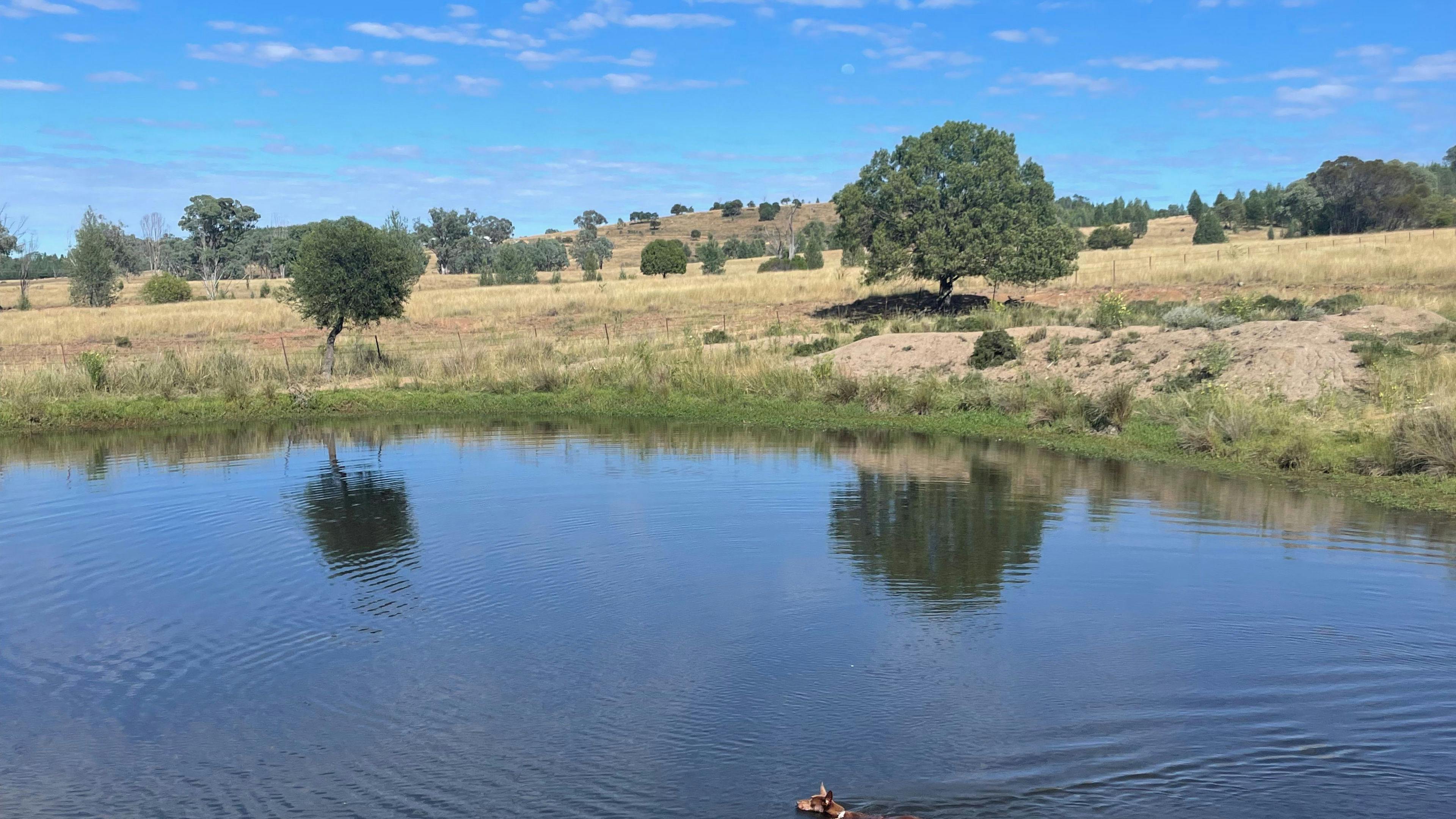 Valley Heights Texas QLD Bush Camp