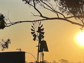 Valrossi on the Gums