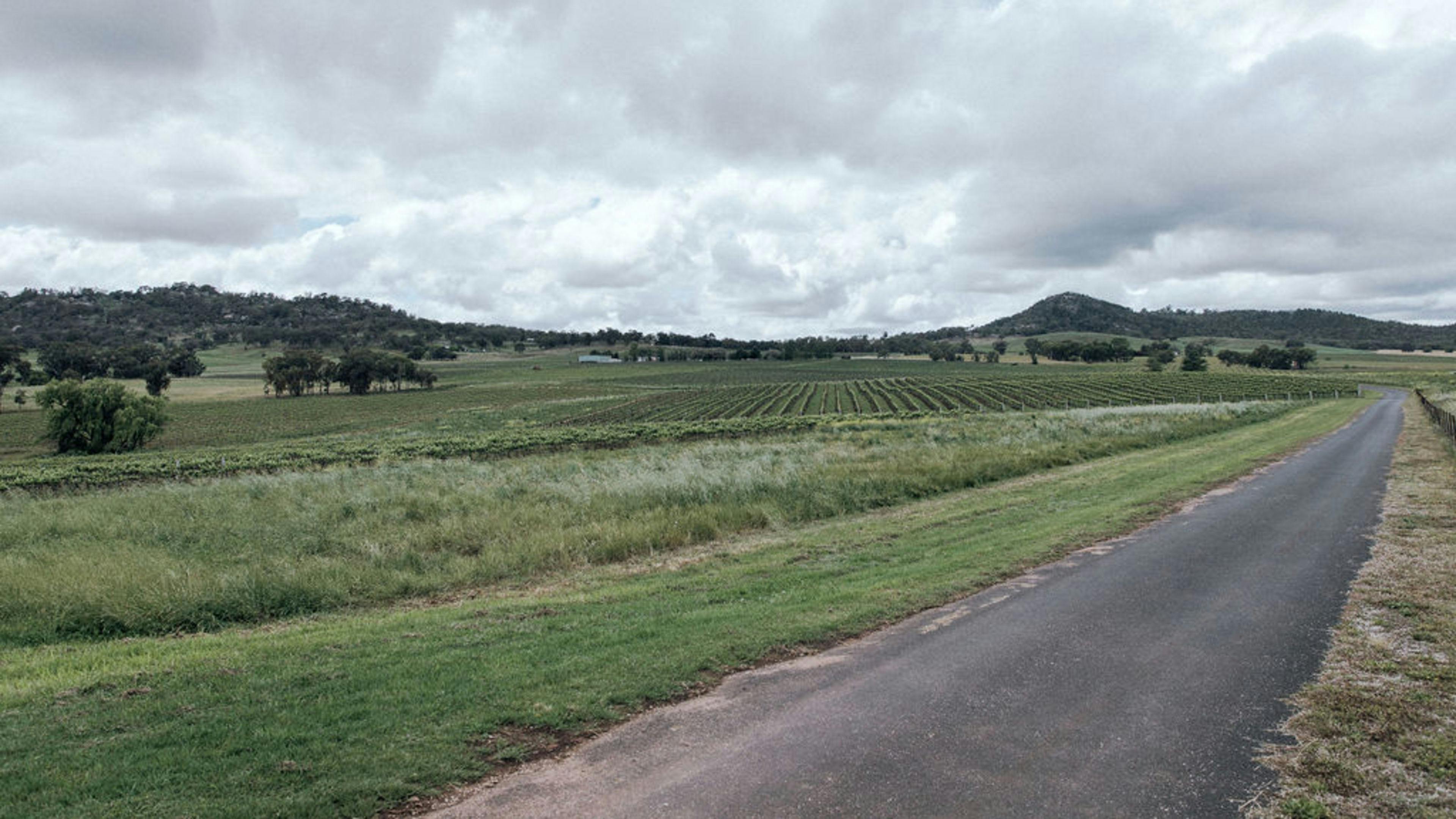 葡萄園裡的貨車