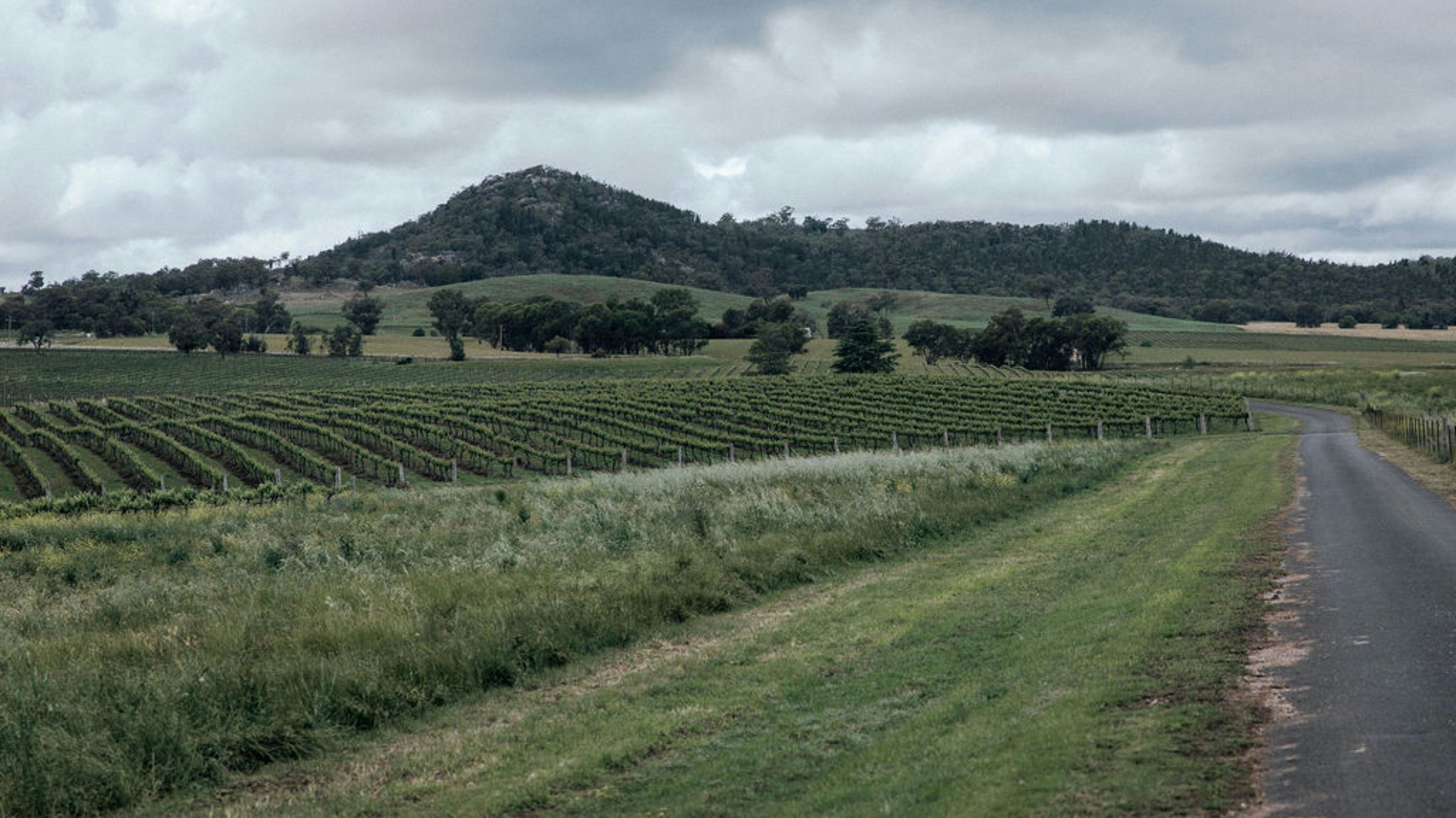 葡萄園裡的貨車