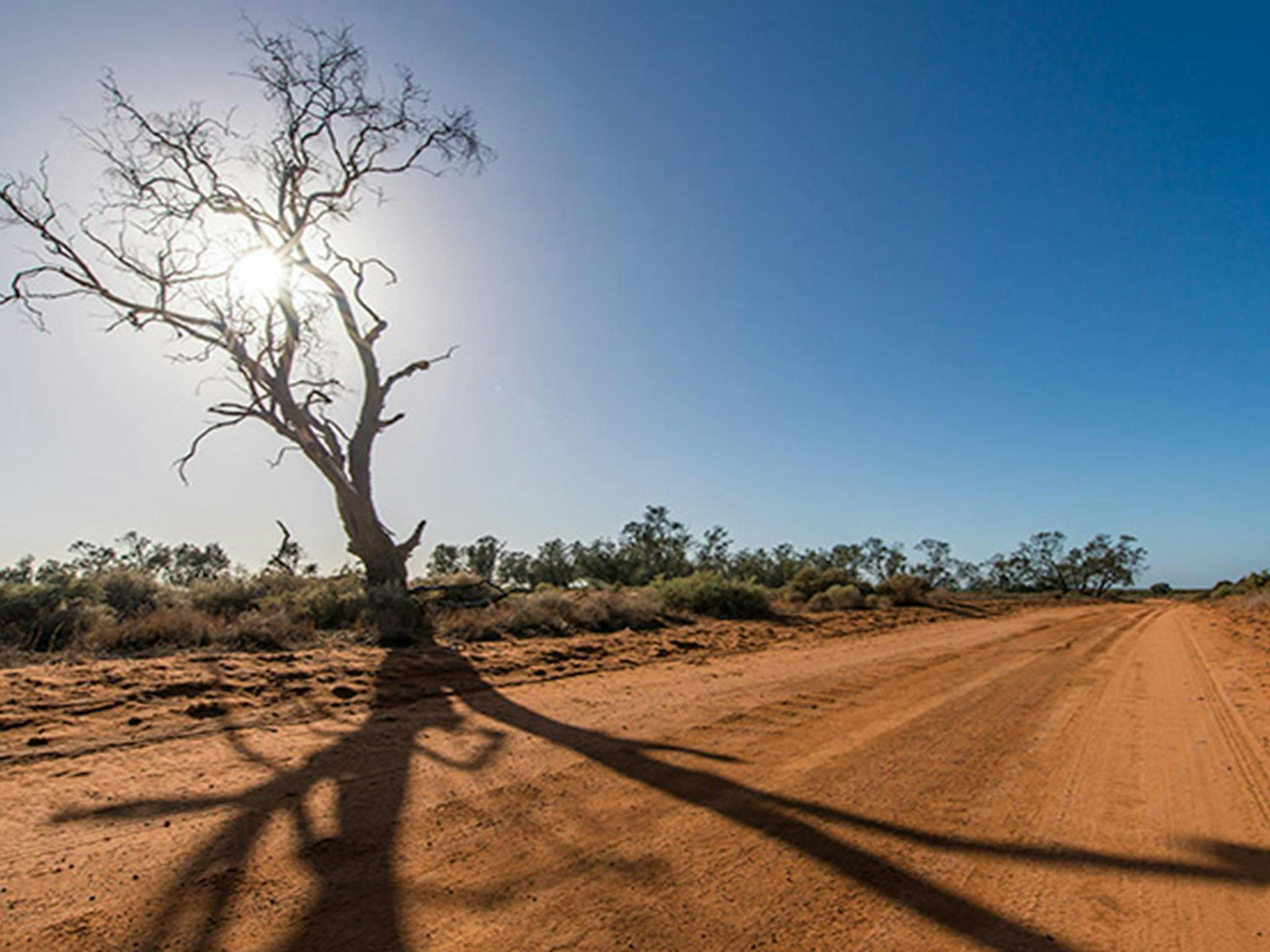 Vigars Well picnic area, Mungo National Park. Photo: John Spencer/NSW Government
