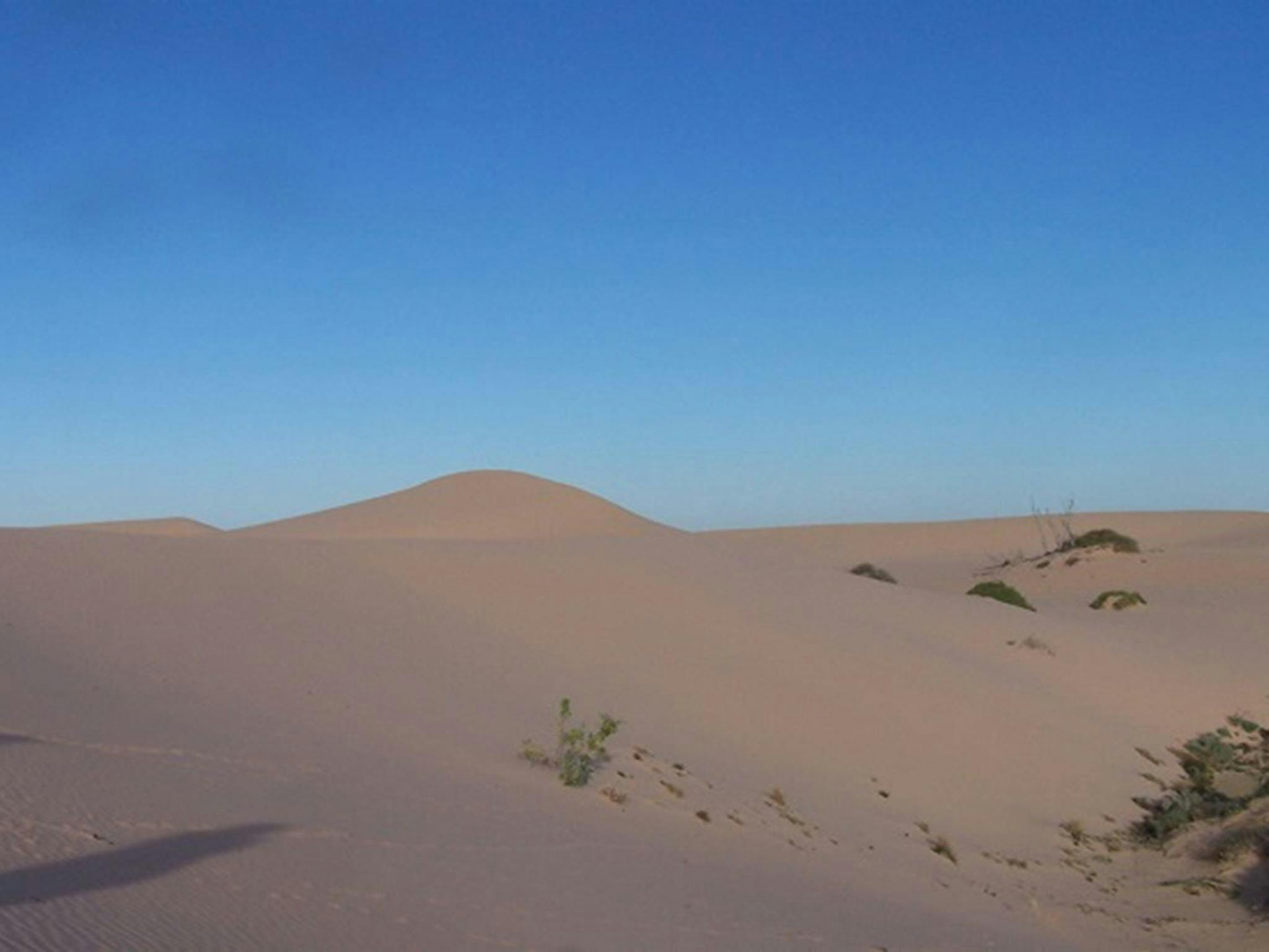 Vigars Well picnic area