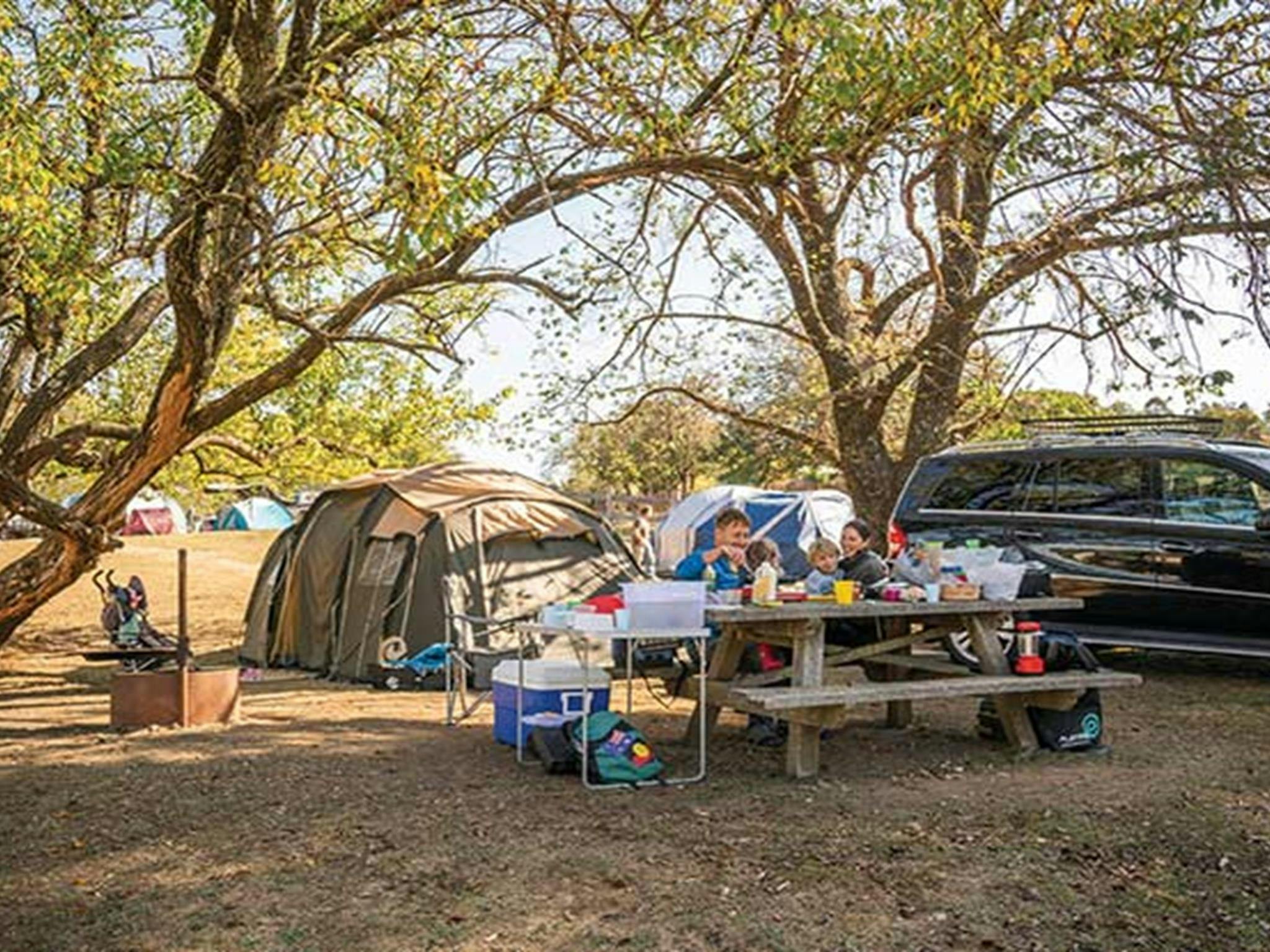Ein Zelt wurde neben einem Picknicktisch und einer Feuerstelle auf dem Campingplatz Village, Hill End Historic Site, aufgebaut.