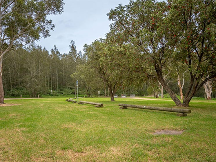 Grassy, unmarked campsites at Violet Hill campground in Myall Lakes National Park. Photo: John