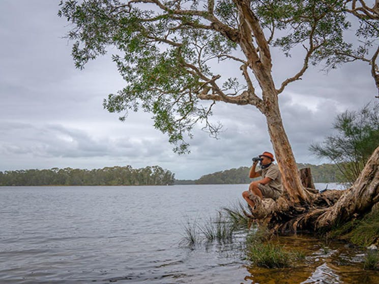 A man beside the lake looking through a pair of binoculars at Violet Hill campground in Myall Lakes