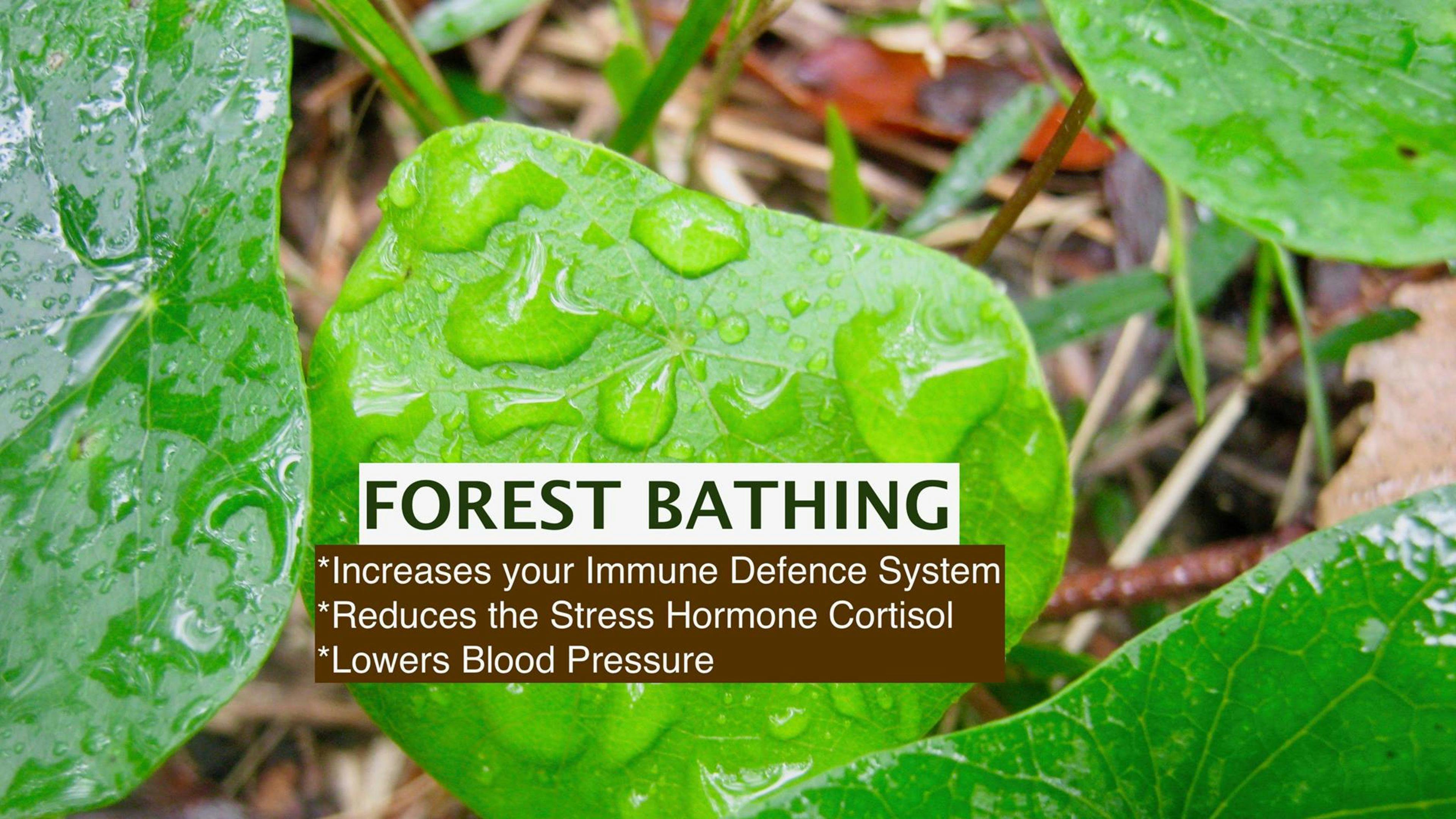 Vivere Sanctuary Natures Luxury