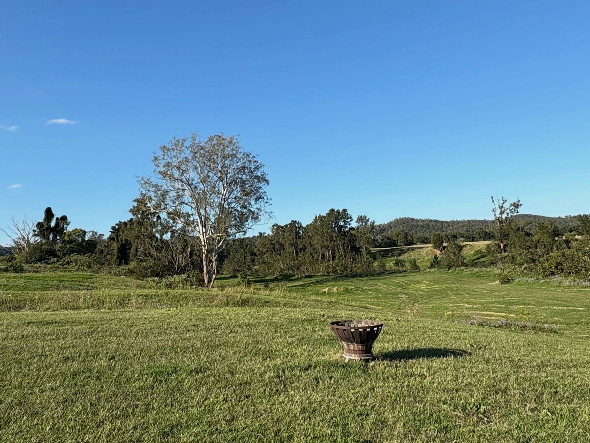 Moy Park Camping