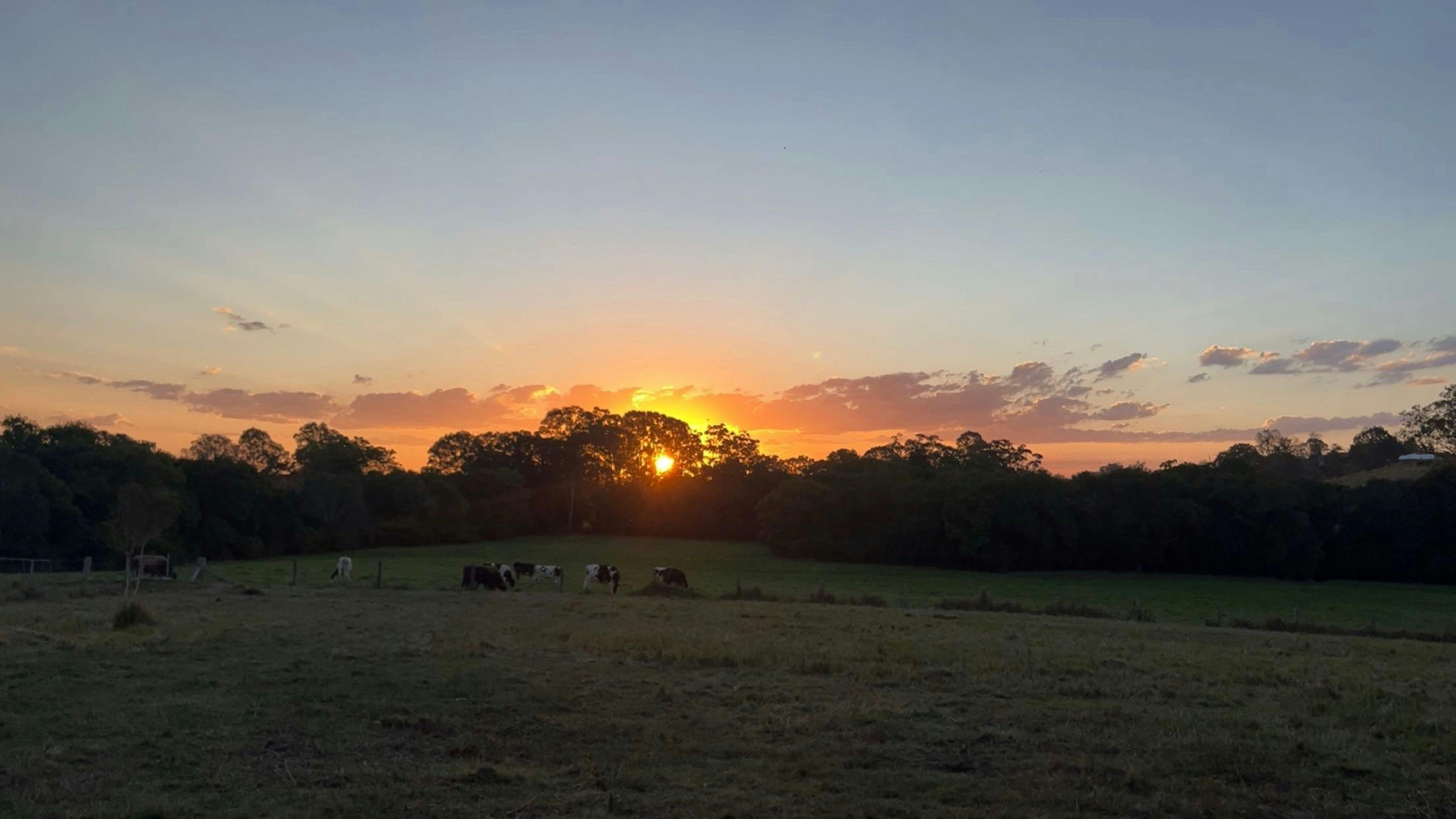 Greens Creek Country Stay