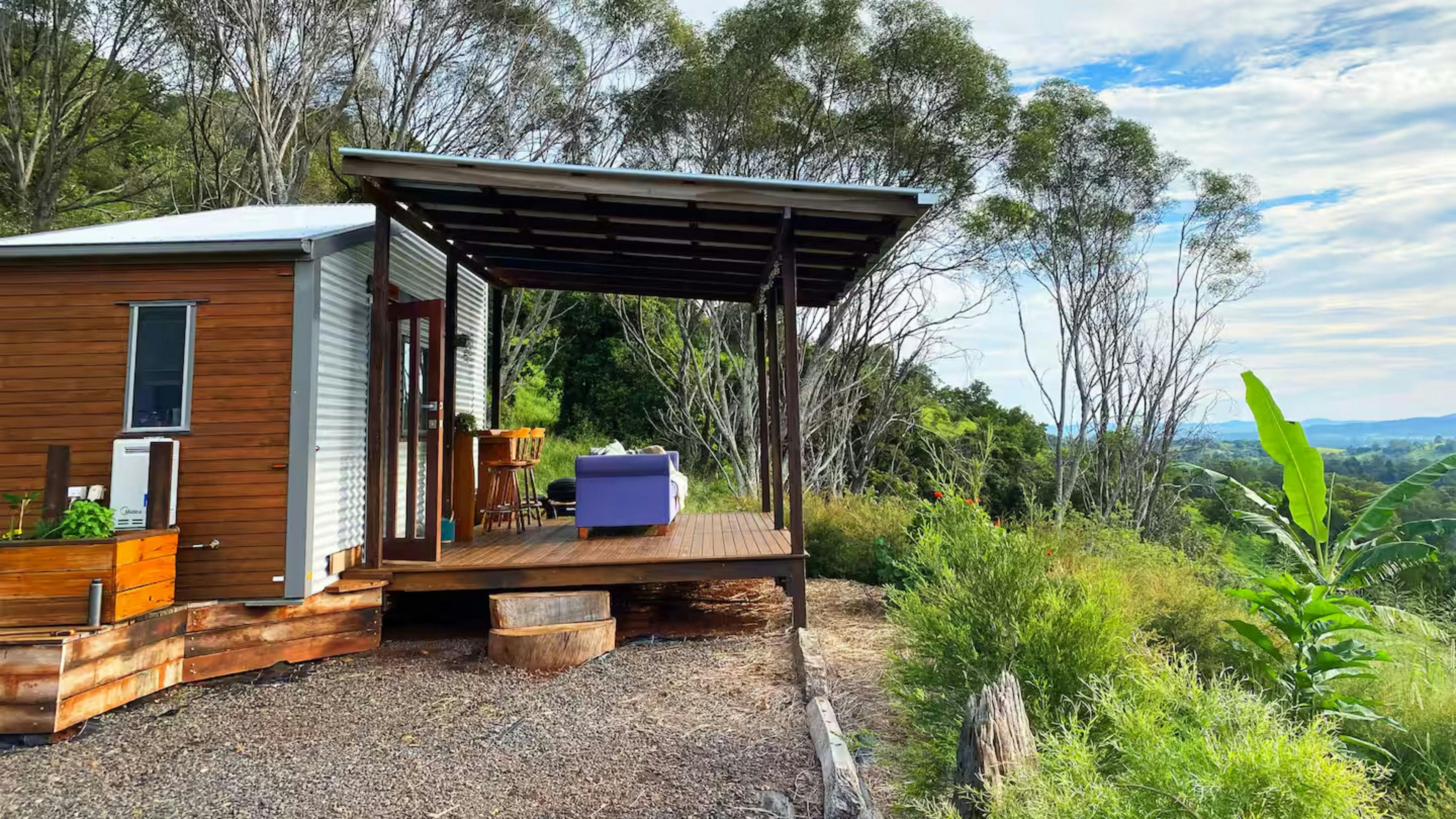 The Avocado Tree Farm