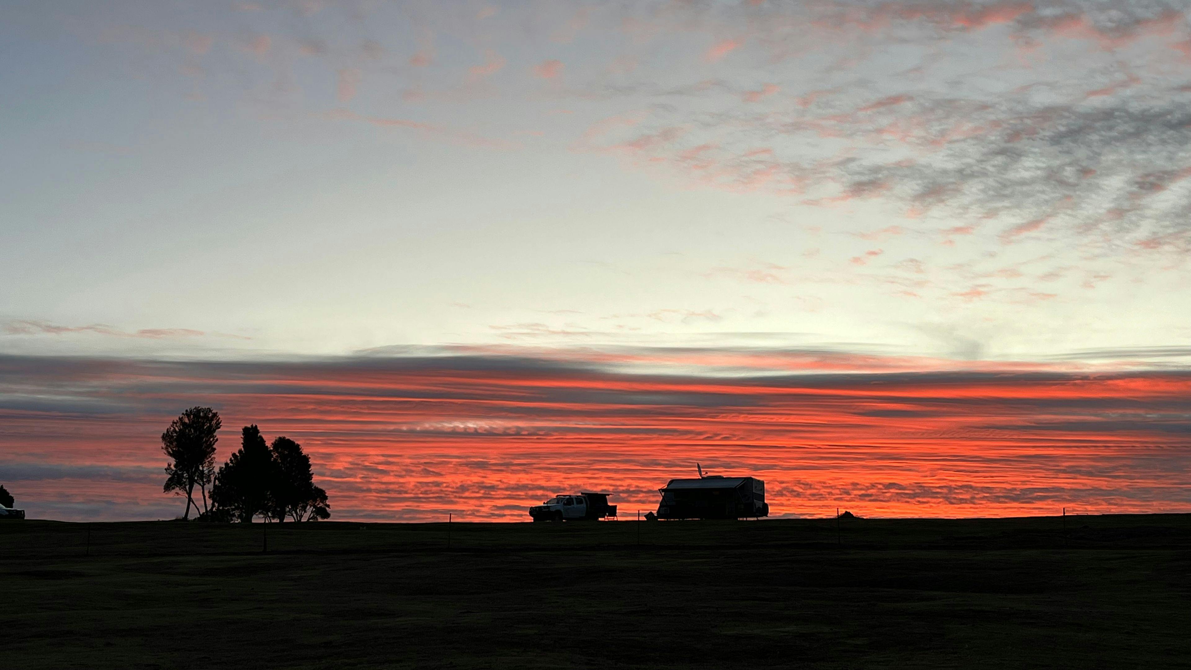 Waratah Alpaca and Pepperberry Farm
