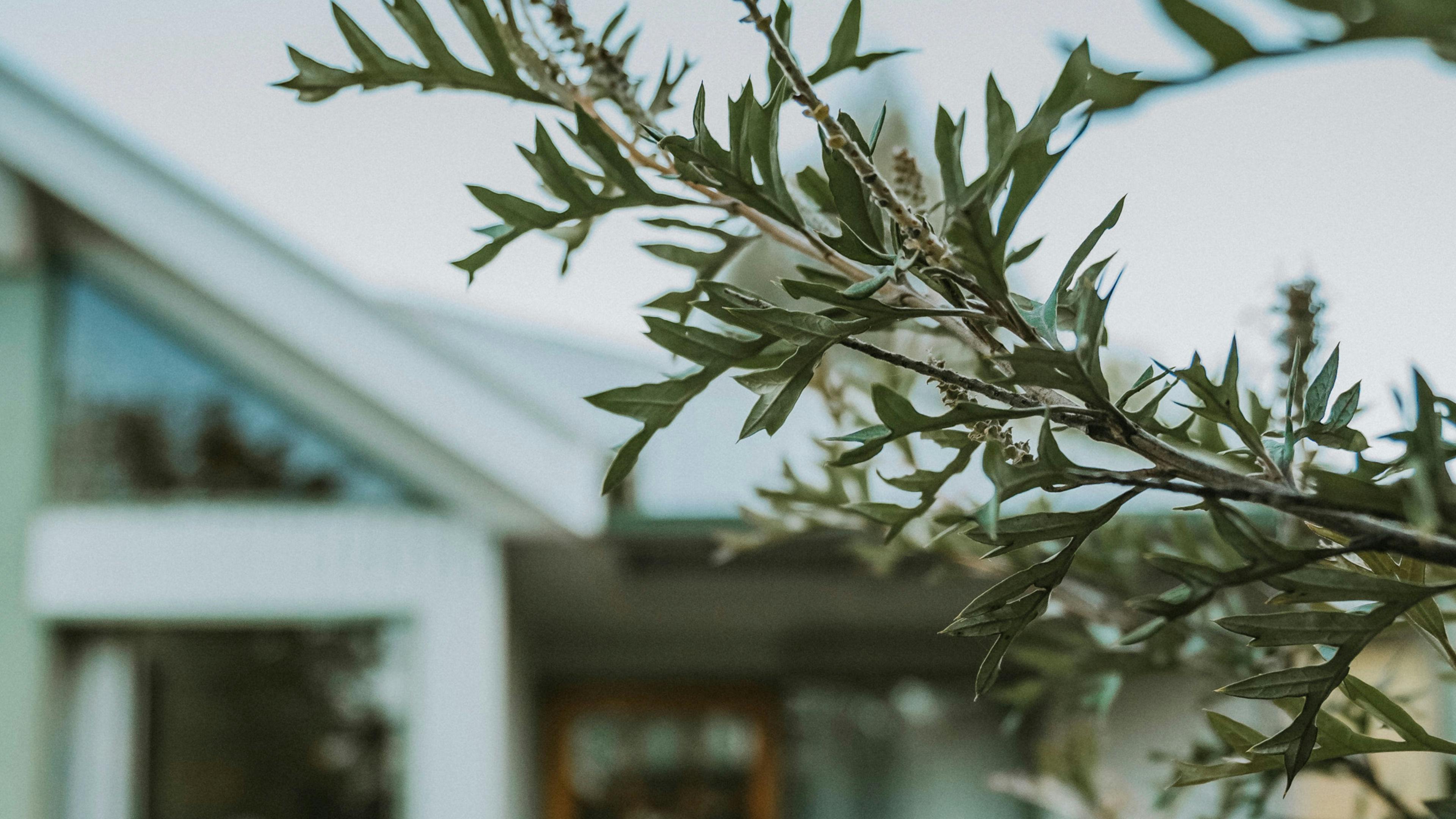 Kosciuszko Base Camp