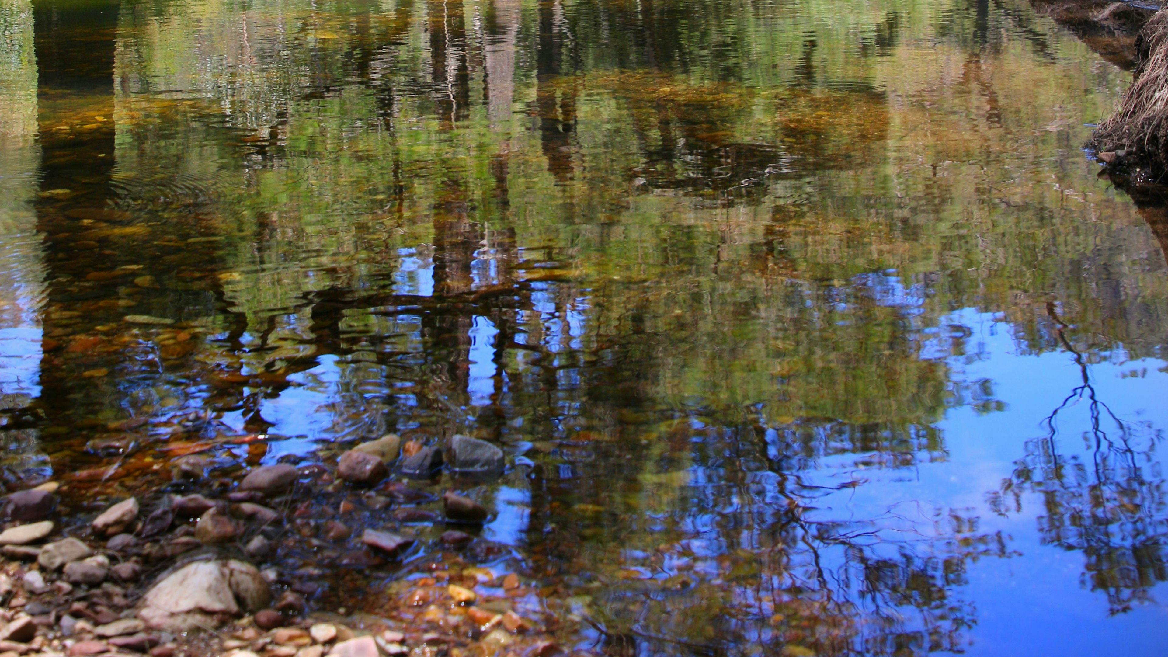 Where platypuses dare to tread... There have been a lucky handful to spot them. Will you be next?