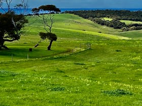 Parrara View