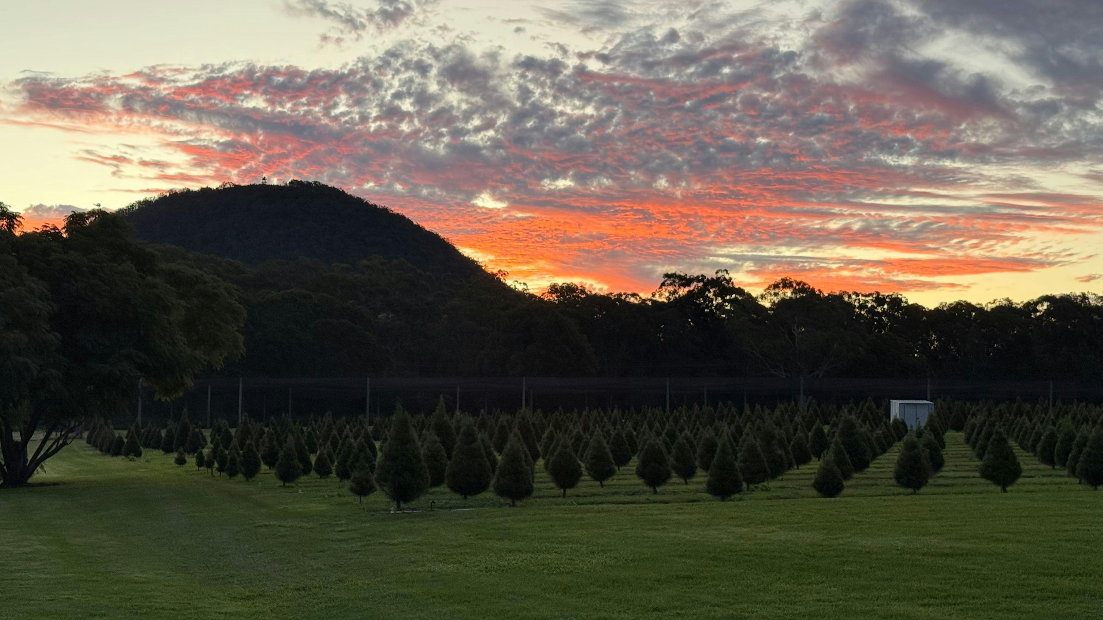 Mountain Country Farm Stay