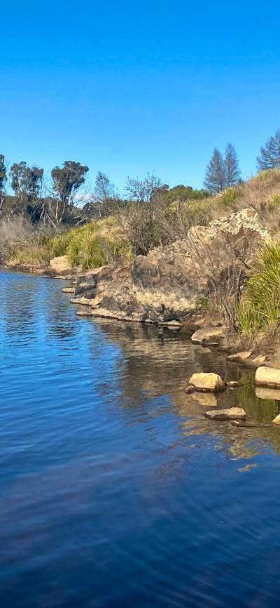 Bombay Bush Cabin and Camping