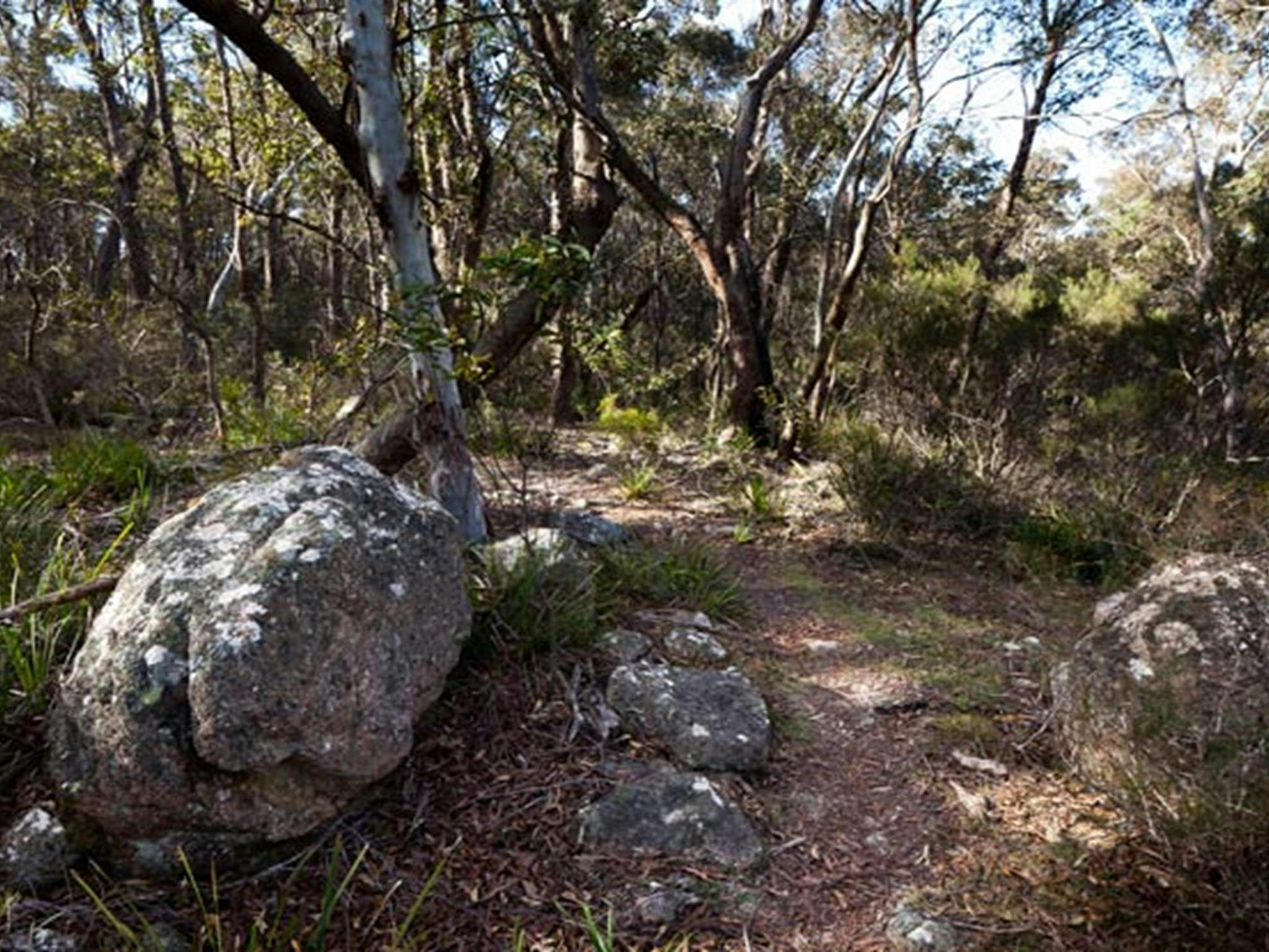 Wanderweg zu den Tuross Falls im Wadbilliga-Nationalpark. Foto: Lucas Boyd Photography/Regierung von New South Wales