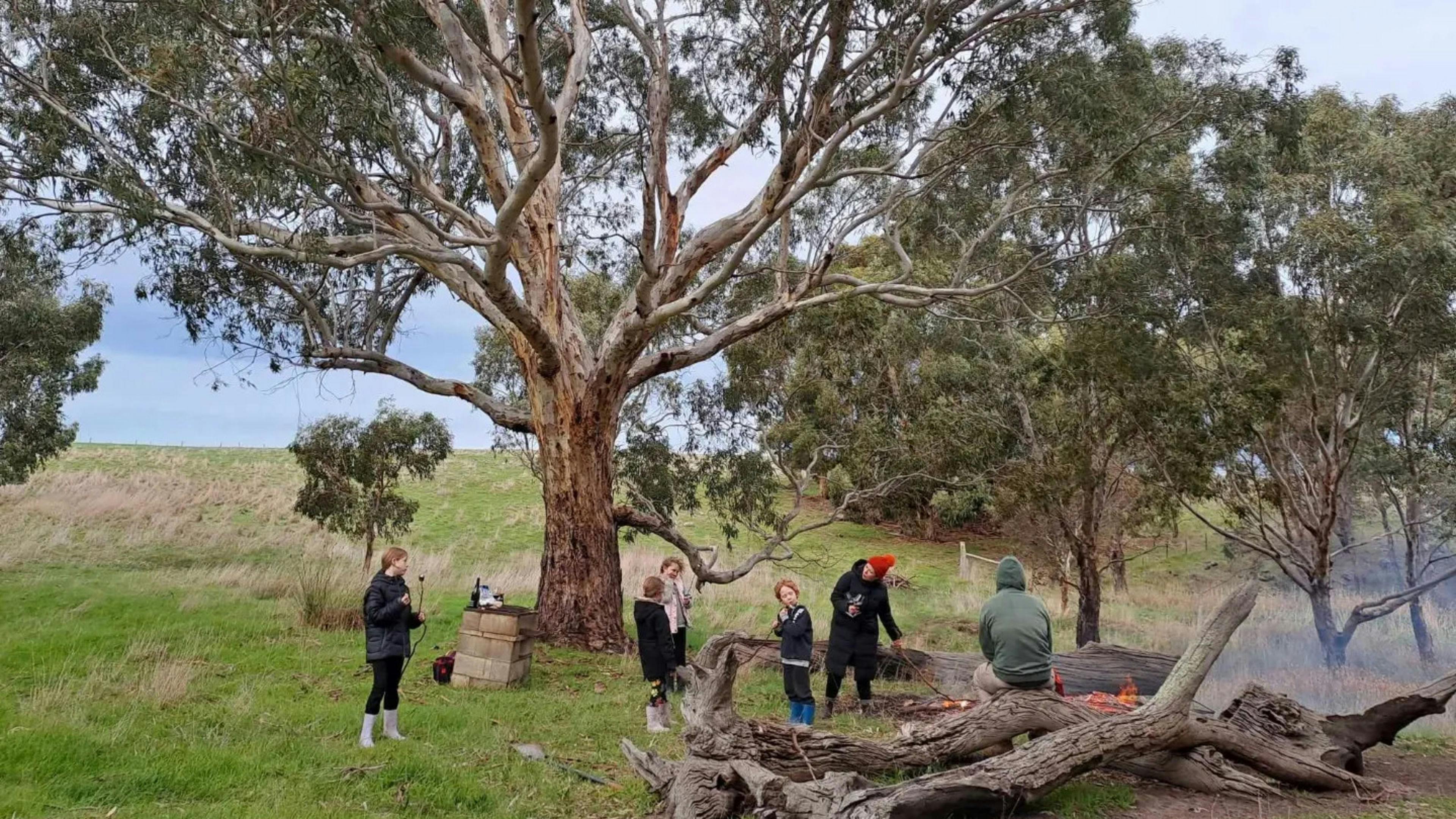 Waitpinga Ridge | Creek Camp Site