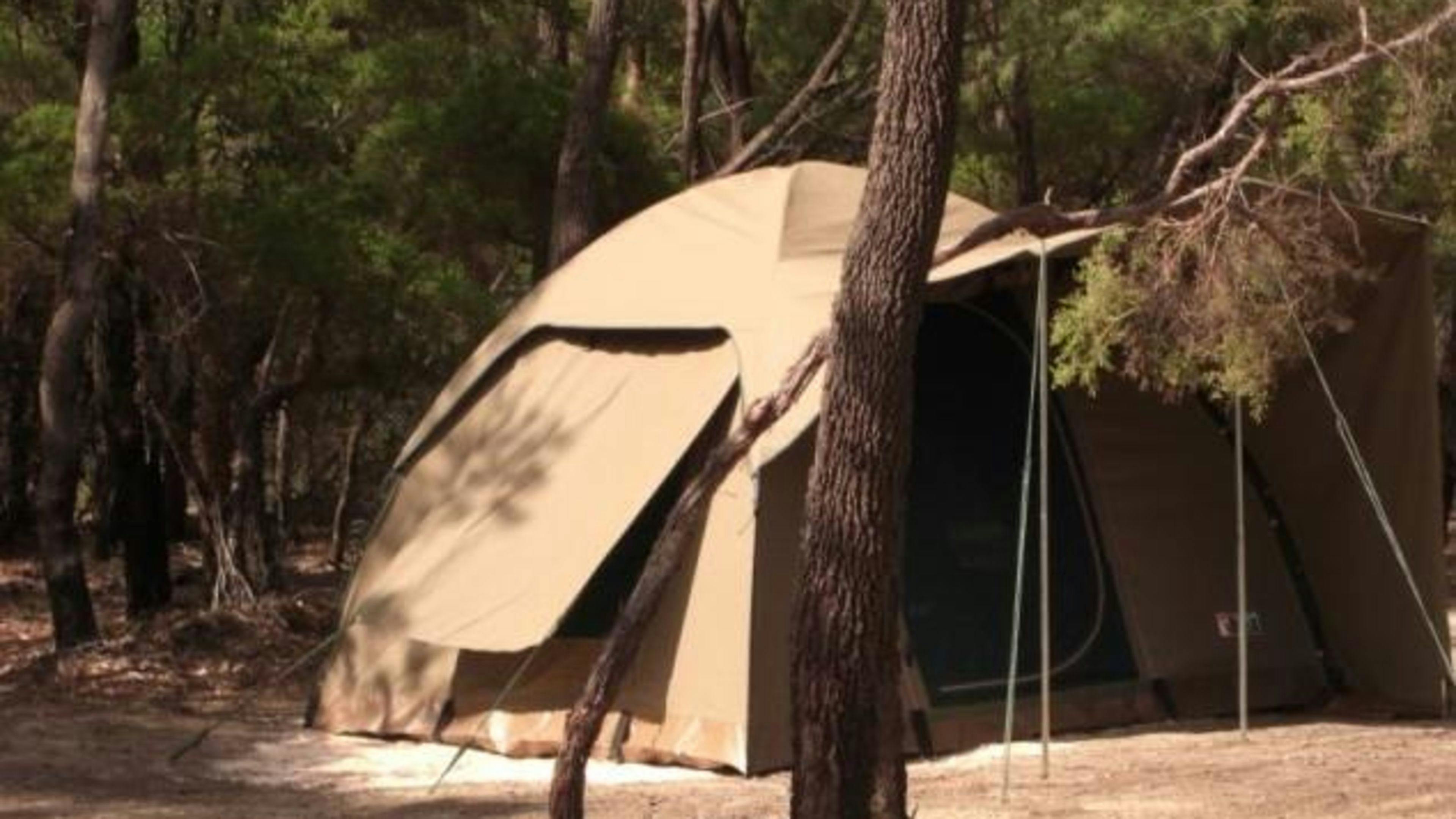 Walkabout Wildlife Sanctuary