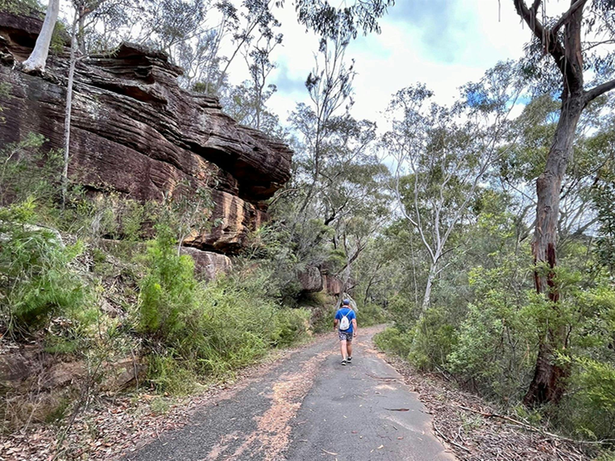 Rocky wall by walking track to Mirang pool, Heathcote National Park. Credit: Natasha Webb &copy;