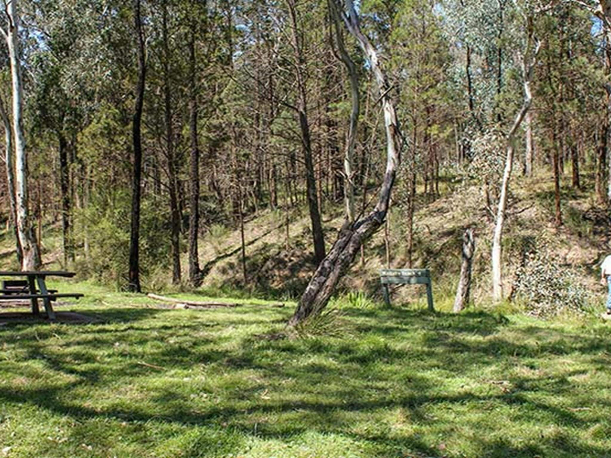 Wallaby picnic area, Conimbla National Park. Photo: Claire Davis/NSW Government