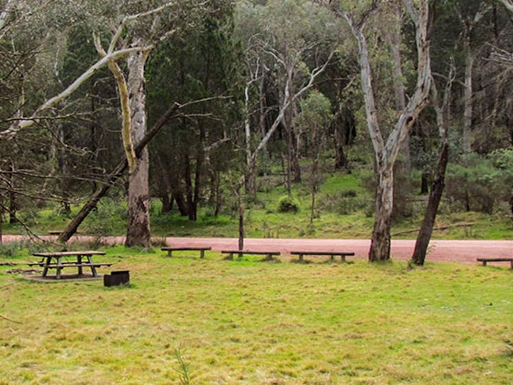 Wallaby picnic area, Conimbla National Park. Photo: M Cooper/NSW Government