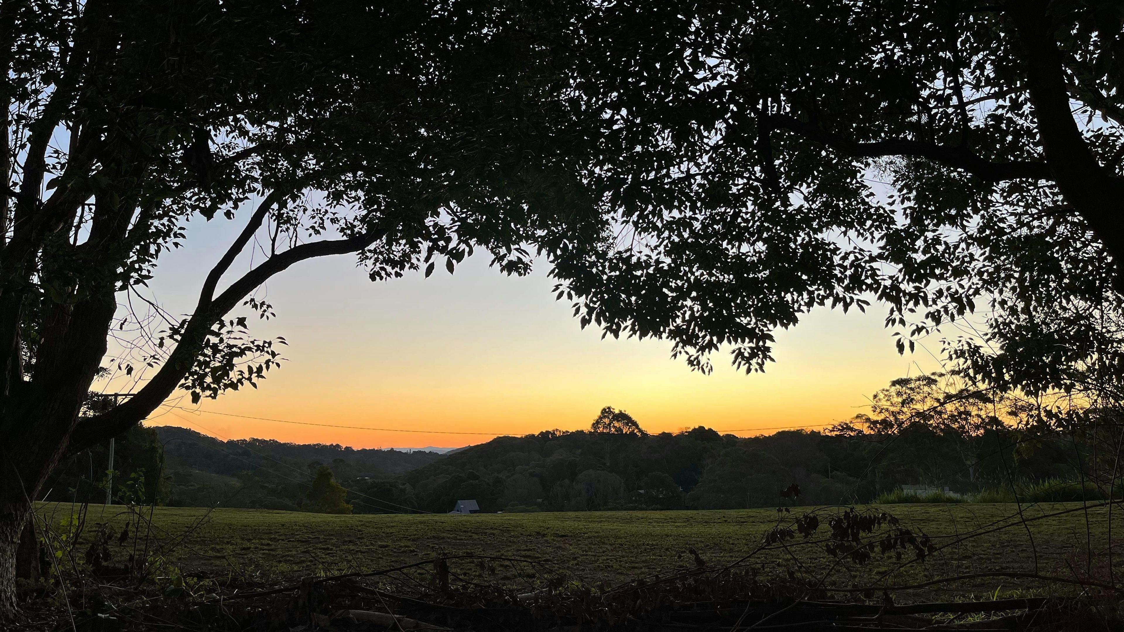 Wallaby Ridge
