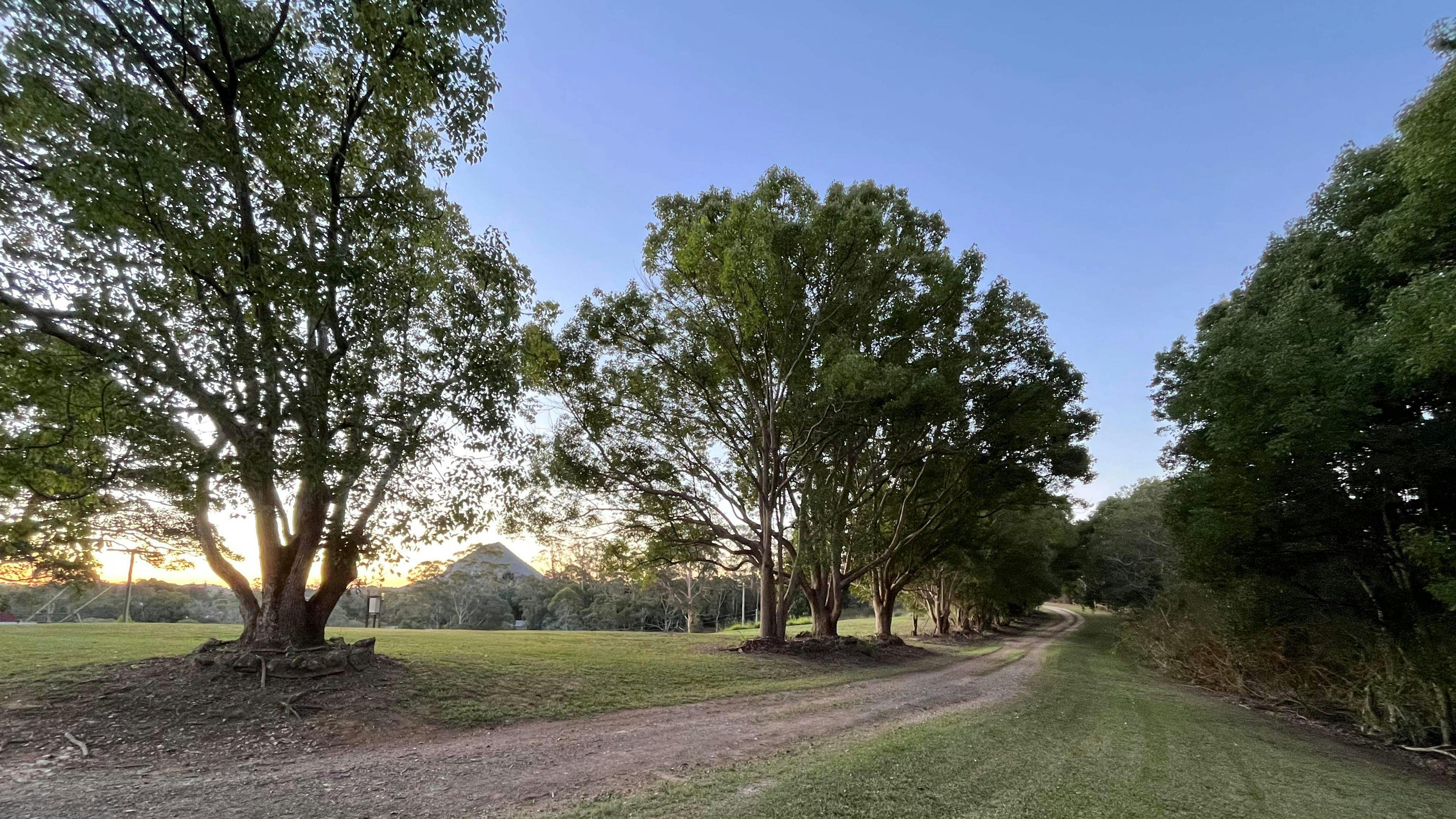 Wallaby Ridge