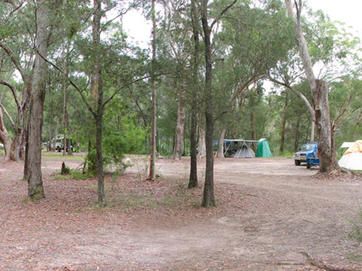 Wallingat campground, Wallingat National Park. Photo: Ian Charles/NSW Government