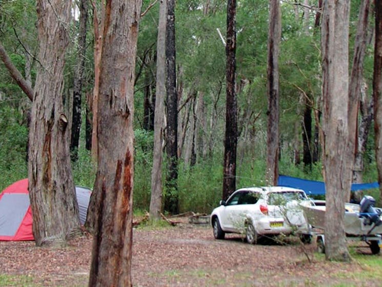 Wallingat campground, Wallingat National Park. Photo: Ian Charles/NSW Government