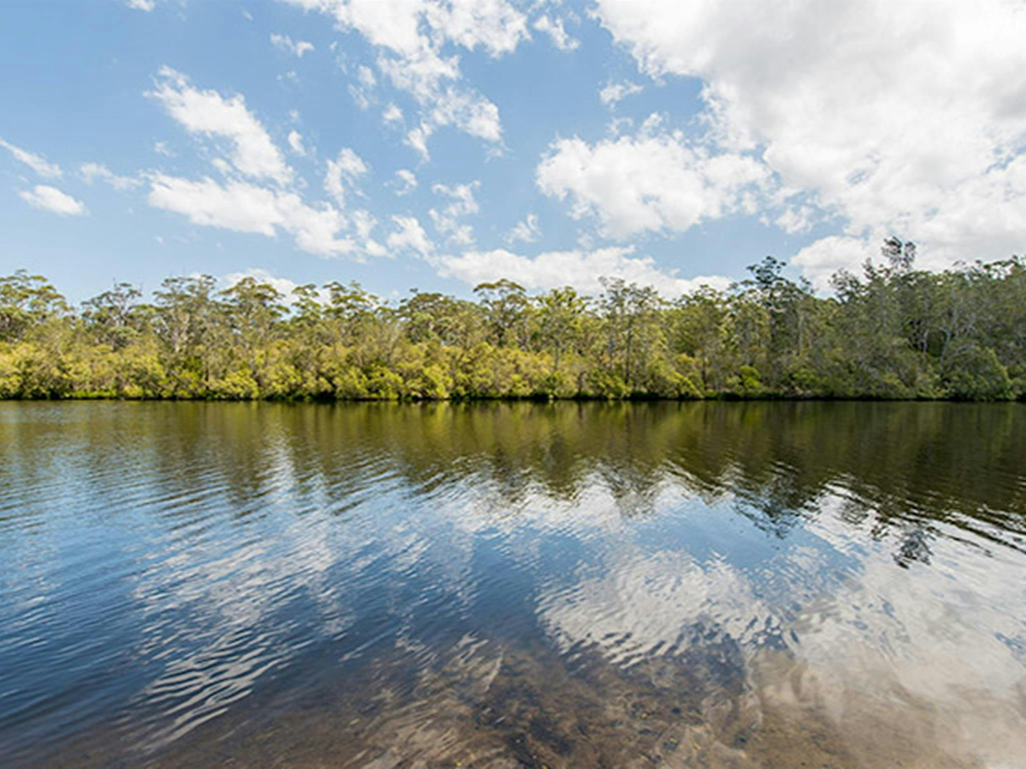 鳳頭鸚鵡野餐區，沃林加特國家公園。照片：約翰·史賓塞