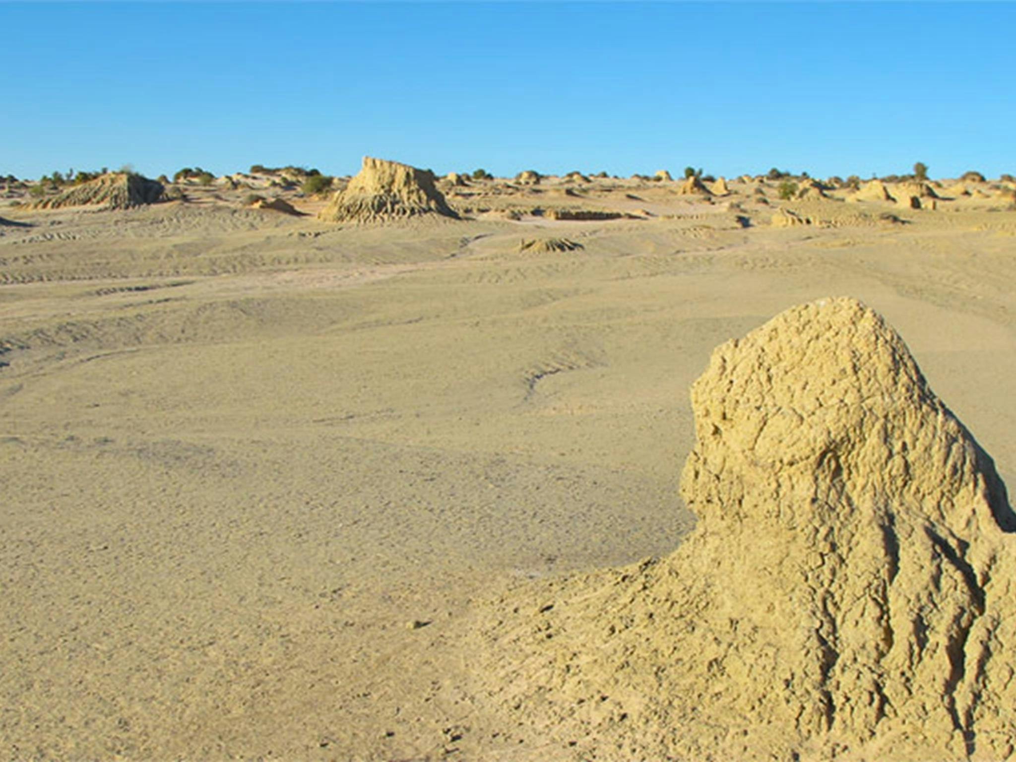 Walls of China Viewing Platform, Mungo National Park. Photo: Wendy Hills/NSW Government