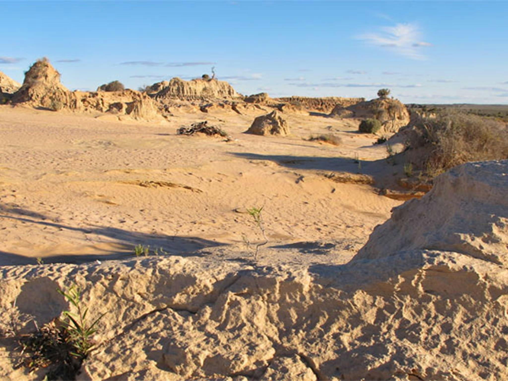 Walls of China Viewing Platform, Mungo National Park. Photo: Wendy Hills/NSW Government