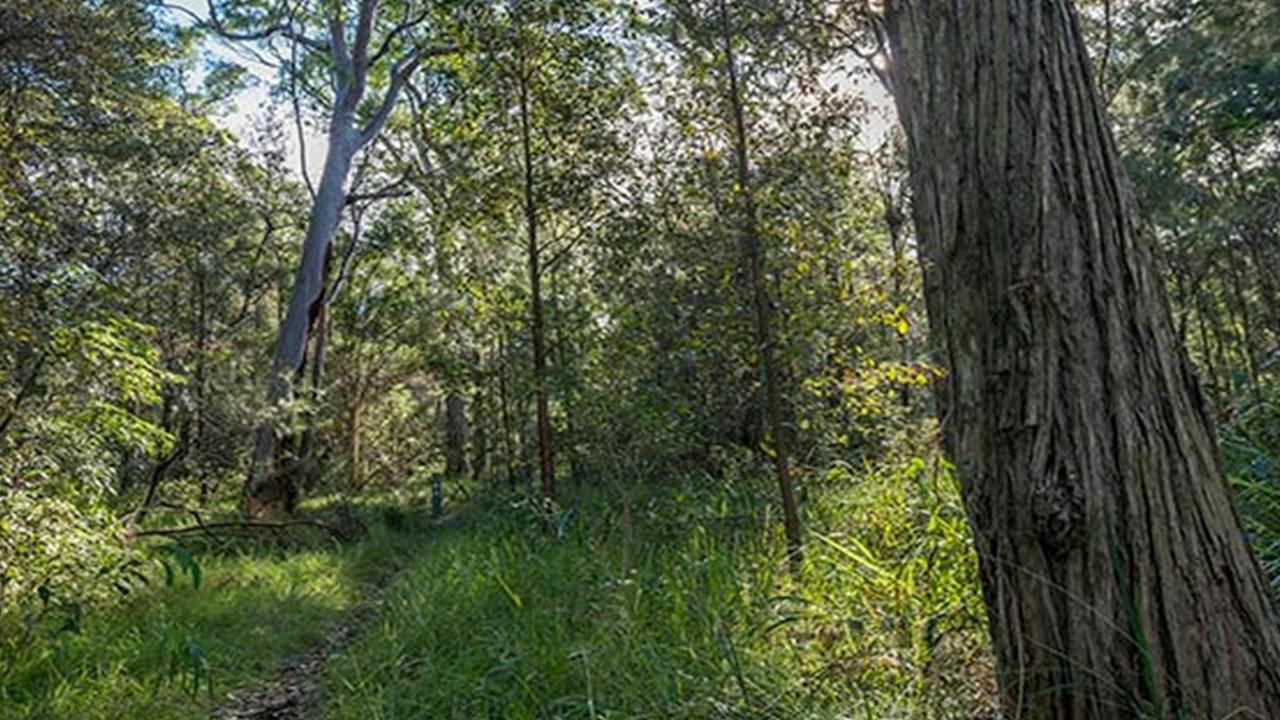 Wallumatta Nature Reserve