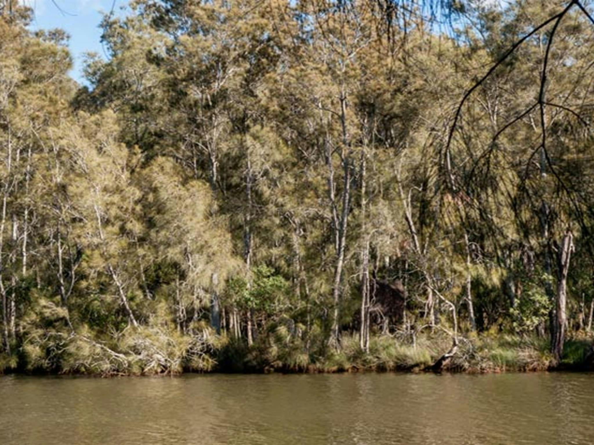 Wanlandian Creek, Corramy Regional Park. Foto: Michael van Ewijk &copy; OEH