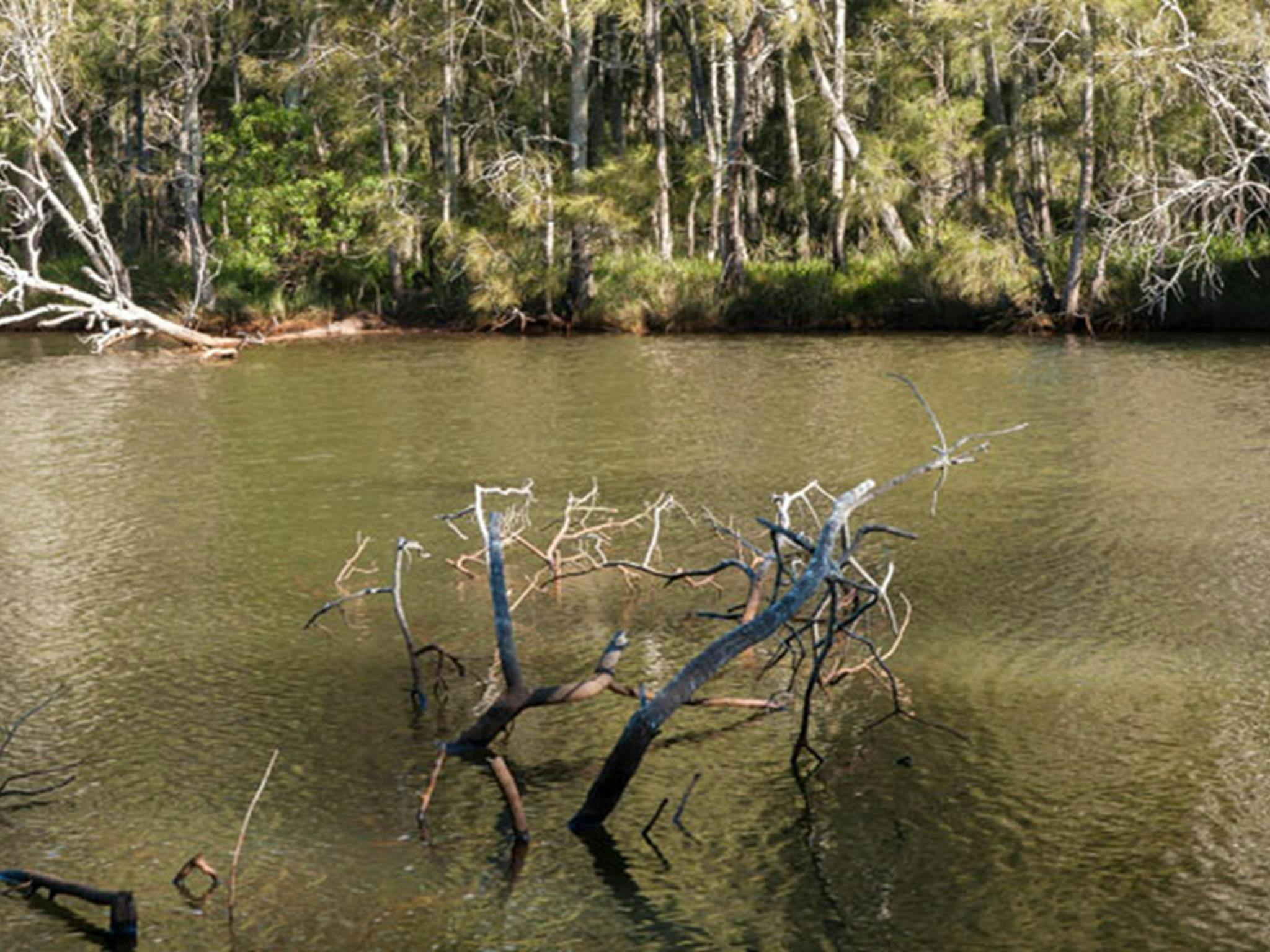 Wanlandian Creek, Corramy Regional Park. Foto: Michael van Ewijk &copy; OEH