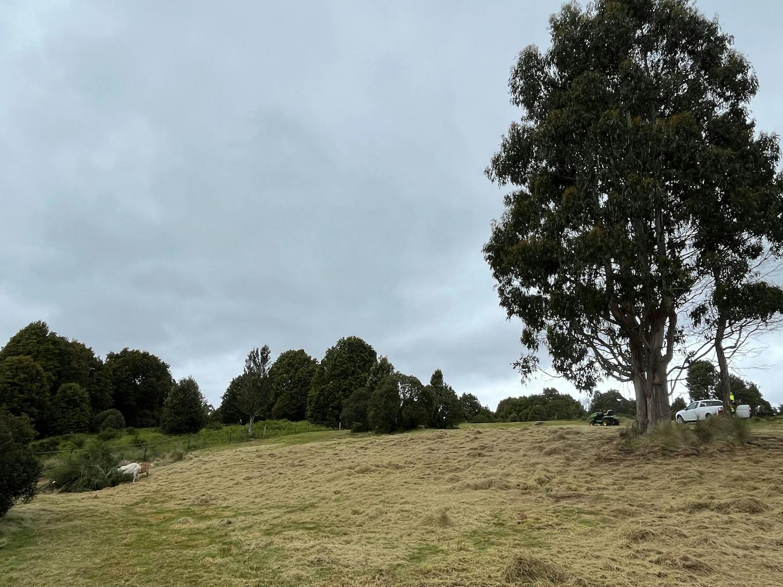 East side of the river is awesome for tent camping and picincs.