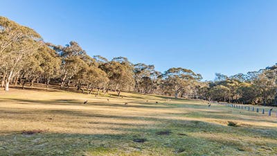 Wares Yards campground, Kosciuszko National Park. Photo: Murray Vanderveer/NSW Government