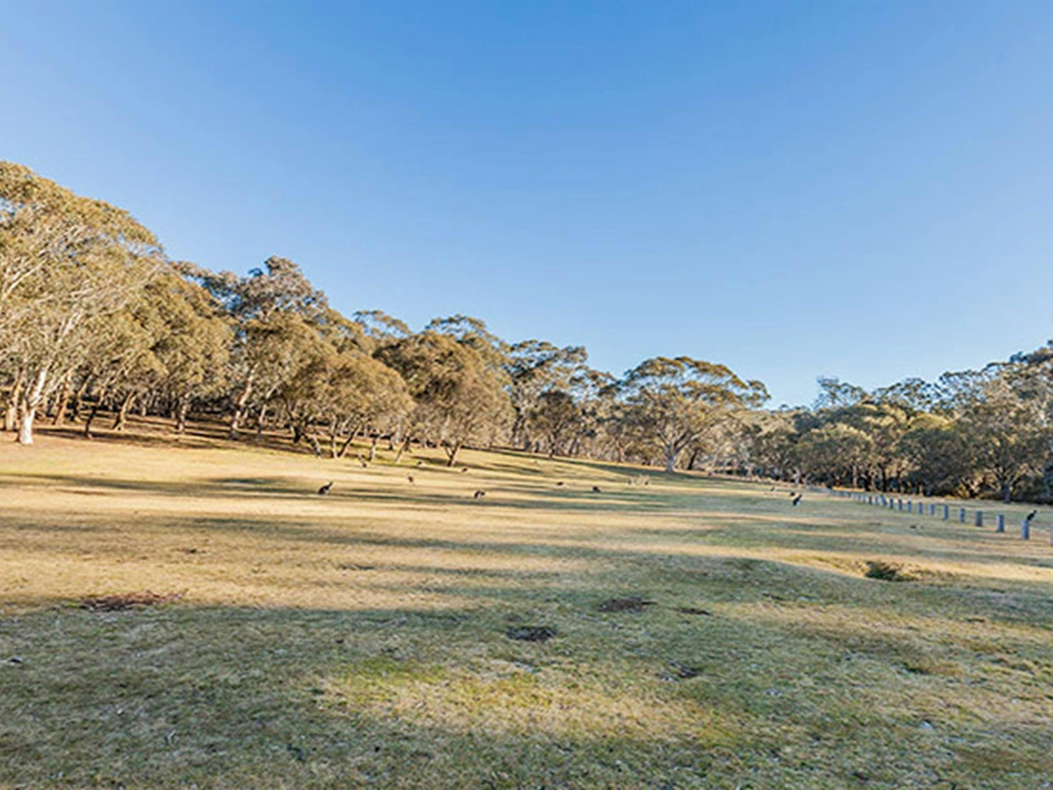 Wares Yards campground, Kosciuszko National Park. Photo: Murray Vanderveer/NSW Government