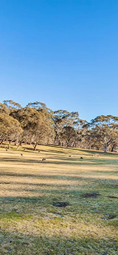 Wares Yards campground, Kosciuszko National Park. Photo: Murray Vanderveer/NSW Government