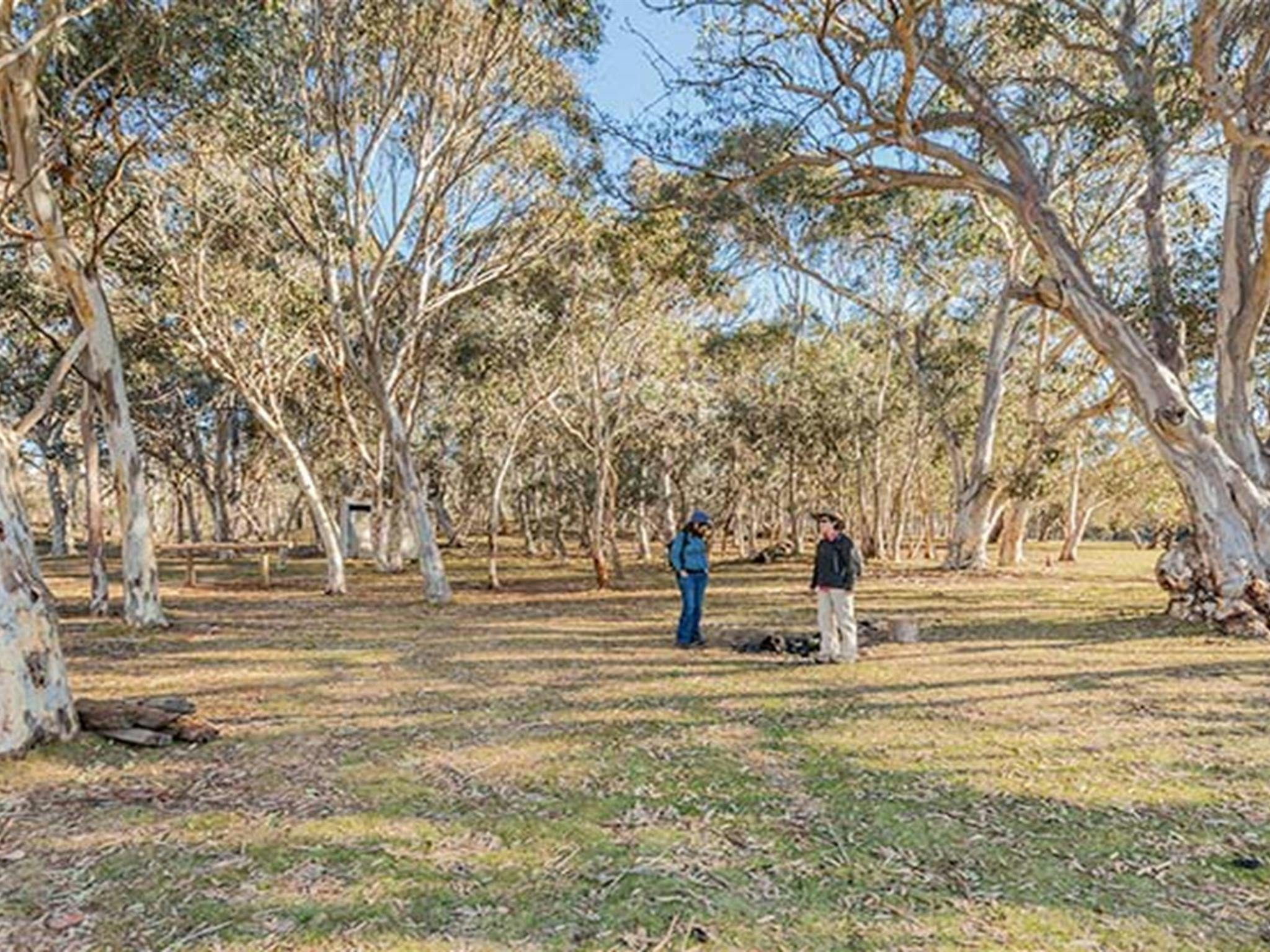 Wares Yards campground, Kosciuszko National Park. Photo: Murray Vanderveer/NSW Government