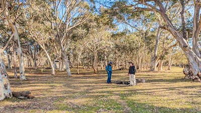 Wares Yards campground, Kosciuszko National Park. Photo: Murray Vanderveer/NSW Government