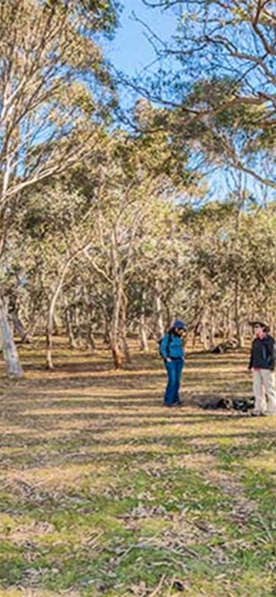 Wares Yards campground, Kosciuszko National Park. Photo: Murray Vanderveer/NSW Government