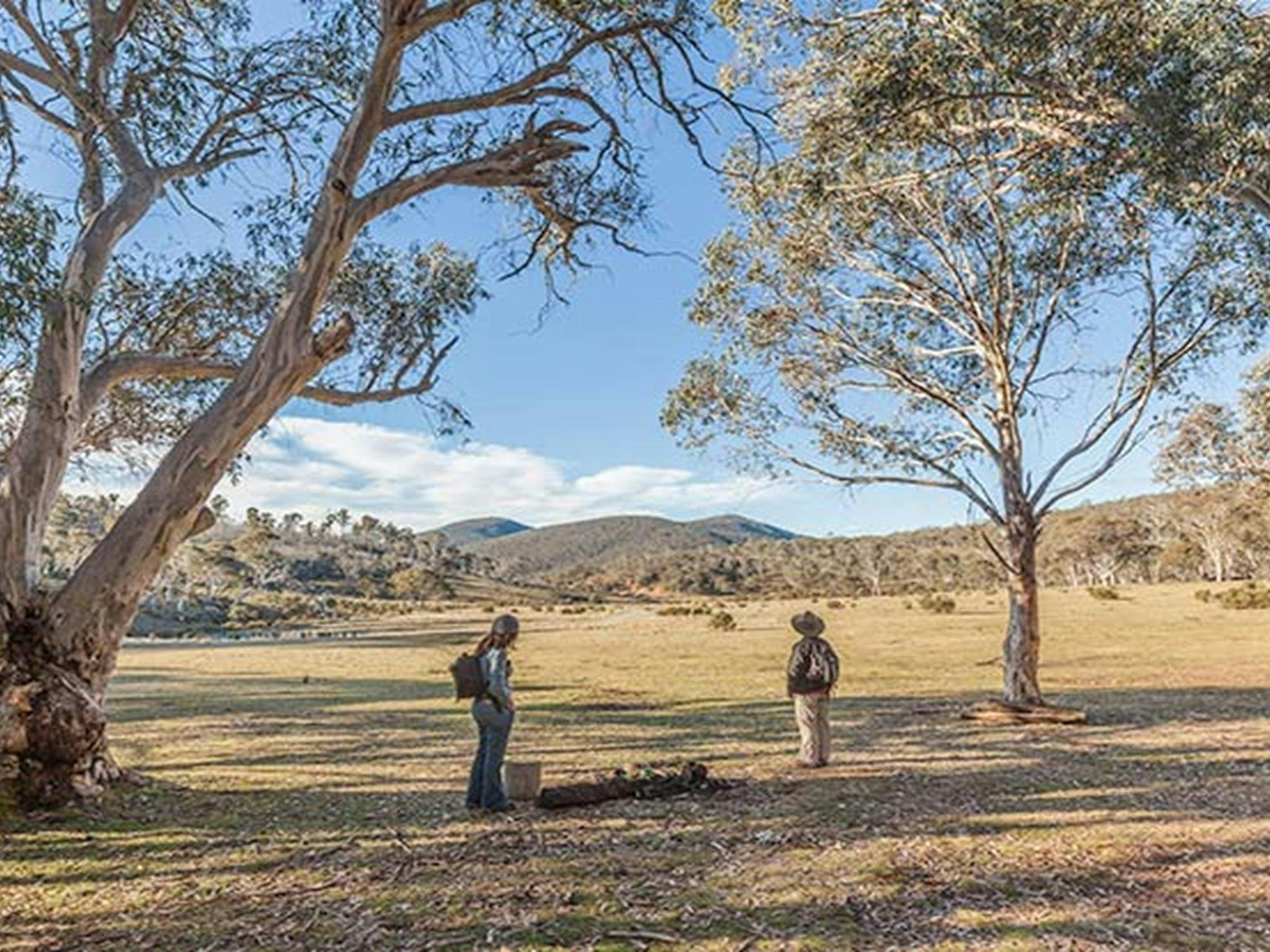 Wares Yards campground, Kosciuszko National Park. Photo: Murray Vanderveer/NSW Government