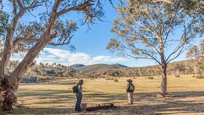 Wares Yards campground, Kosciuszko National Park. Photo: Murray Vanderveer/NSW Government