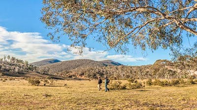 Wares Yards campground, Kosciuszko National Park. Photo: Murray Vanderveer/NSW Government