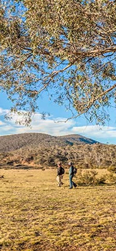 Wares Yards campground, Kosciuszko National Park. Photo: Murray Vanderveer/NSW Government