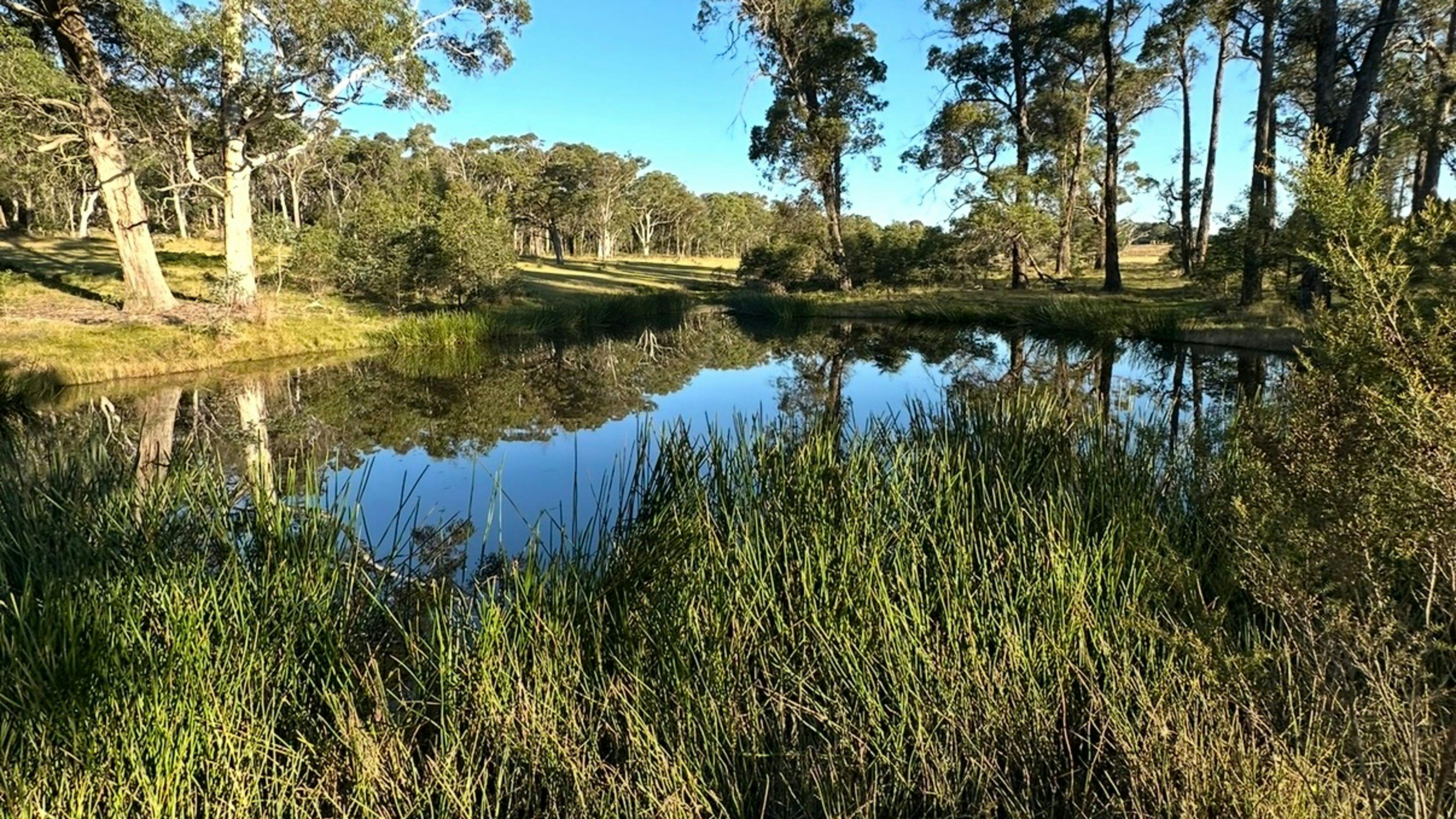 Warrawee Park