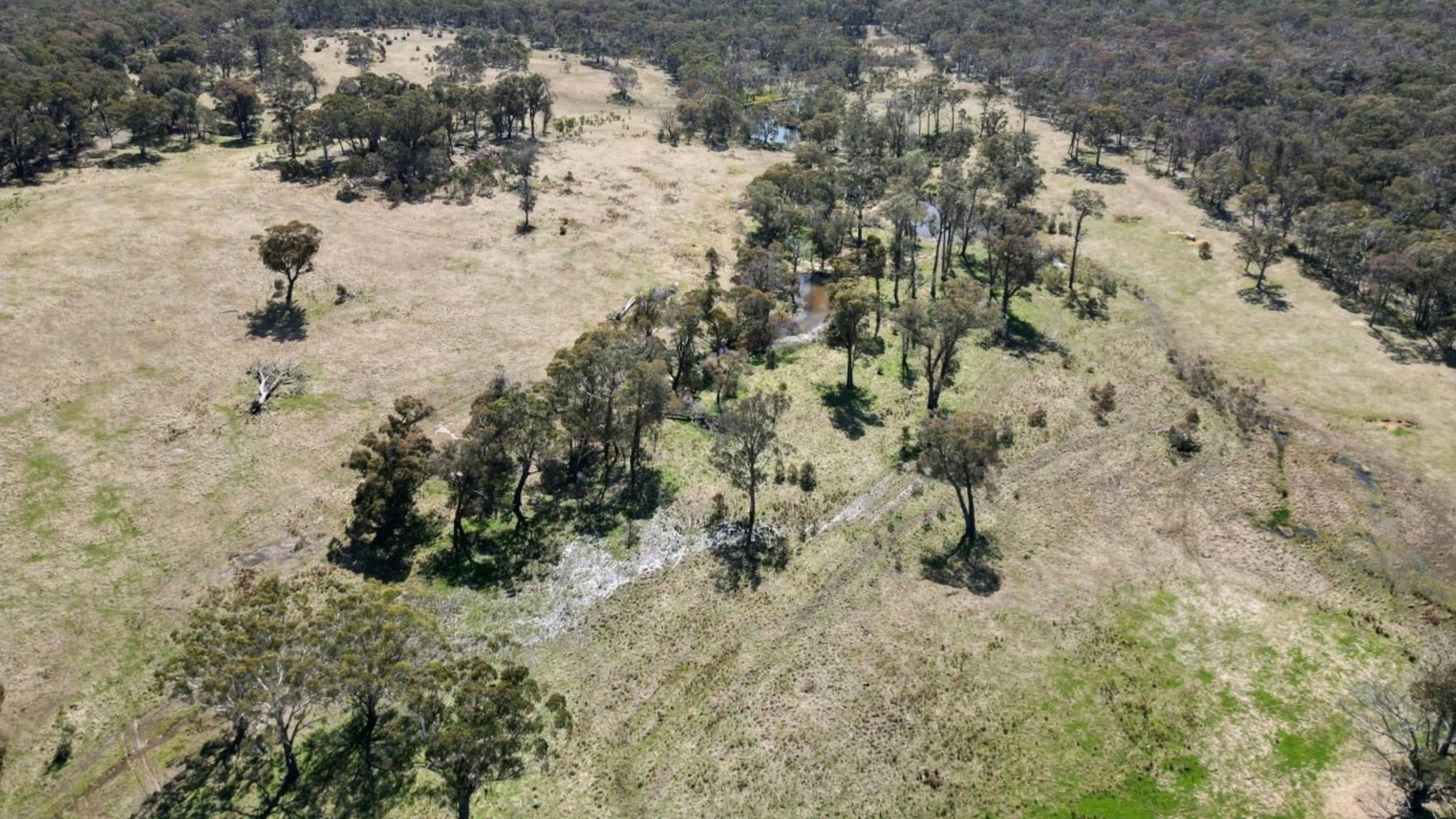 Warrawee Park